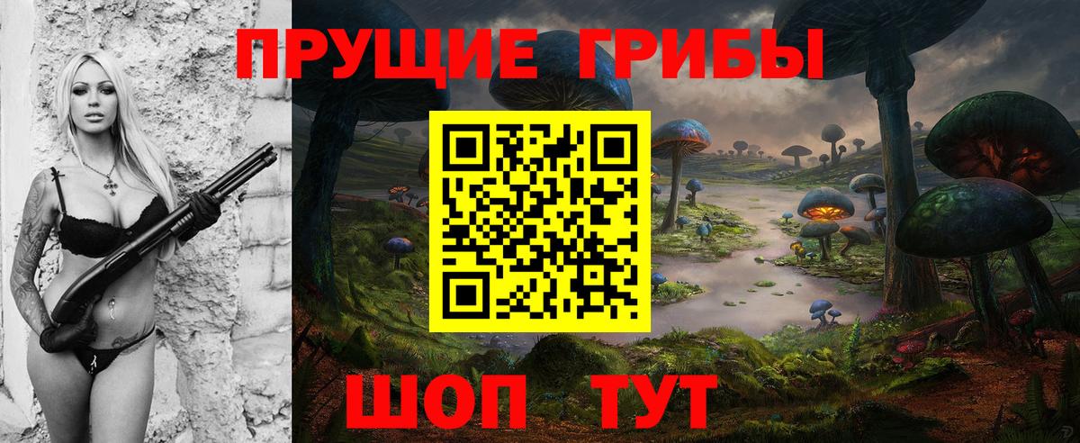 Псилоцибиновые грибы GOLDEN TEACHER Новодвинск