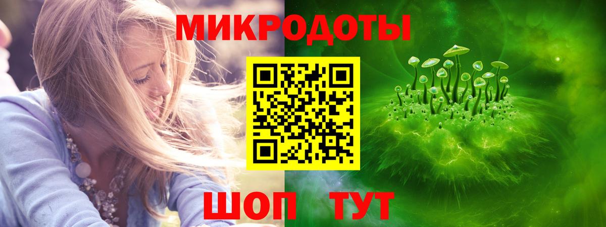 где купить наркоту  Вход с VPN  Галлюциногенные грибы Psilocybine cubensis  Новодвинск  Псилоцибиновые грибы ЛСД 